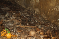 يافا: أكثر من 6 أعوام على اكتشاف المقابر الجماعية في الكازاخانة والقضية ما زالت مكانها